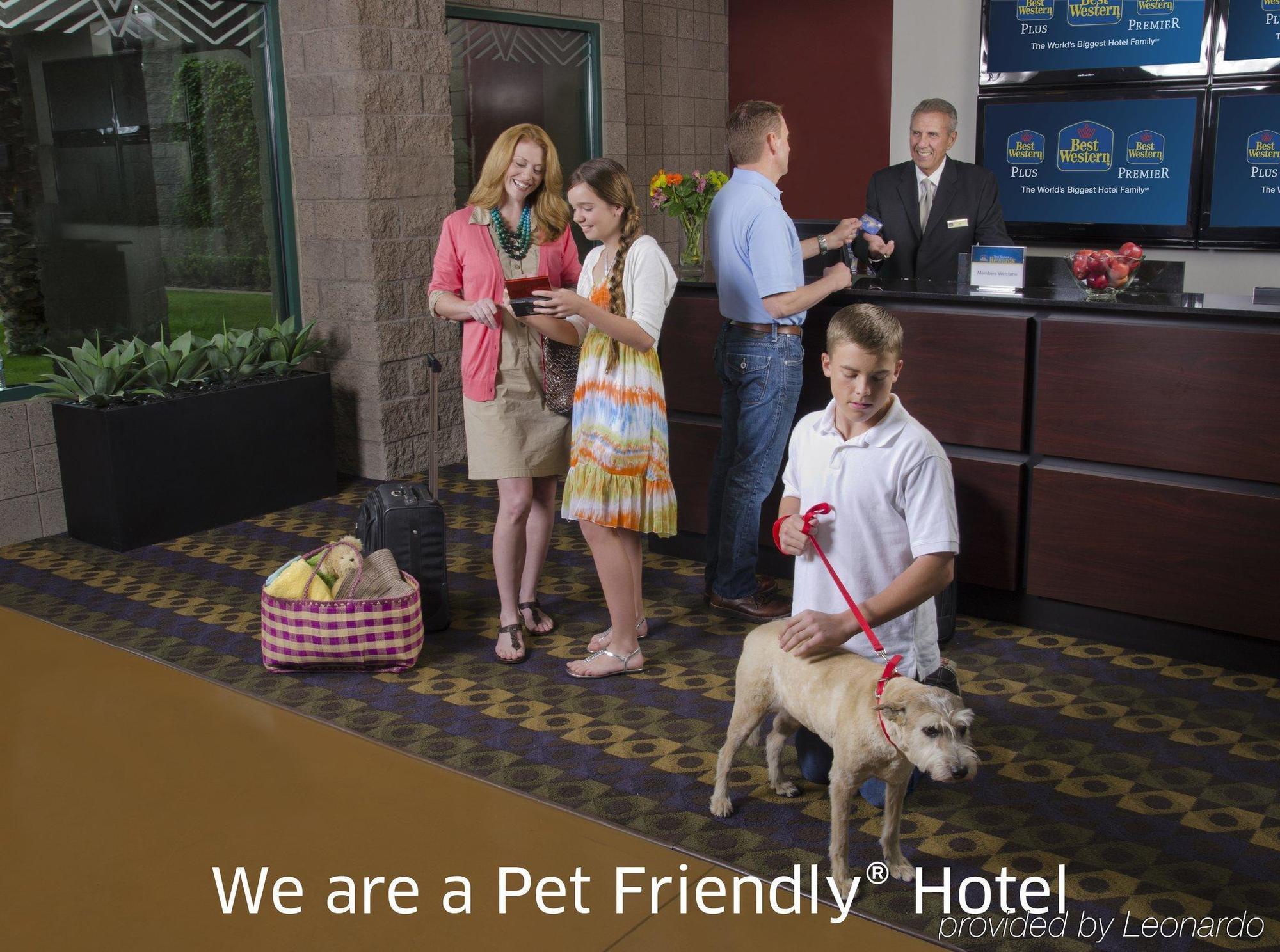 Best Western Rockland Exterior photo